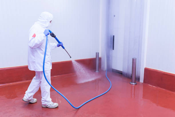 Best Solar Panel Cleaning  in High Ridge, MO